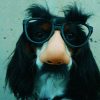 Du flair - Braydon Anderson / Unsplash