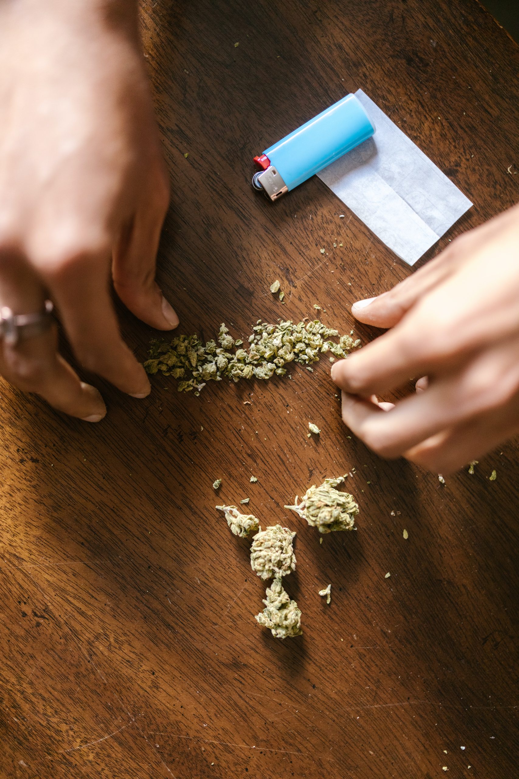 augmentation taux de THC cannabis