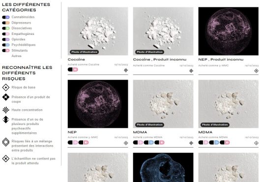 Ecran de rendu des résultats sur le site https://druglab.fr