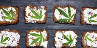 troubles du comportement alimentaire drogues tca