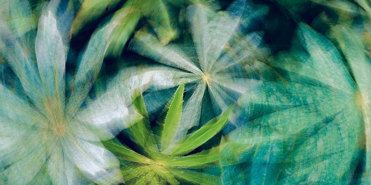 (c) Eugène Golovesov pour Unsplash