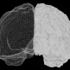 Cocaïne dans l'cerveau