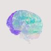 psychédéliques hallucinogènes perché