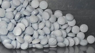 cachets de cychlorphine